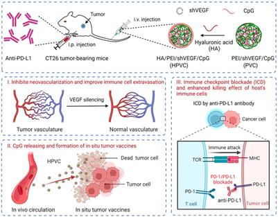 Combination of immune checkpoint blockade and targeted gene regulation of angiogenesis for facilitating antitumor immunotherapy